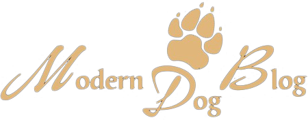 Modern Dog Blog
