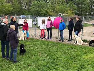 Hund - Mensch * Mensch - Hund / Begegnungstag, veranstaltet vom Tierschutzverein München