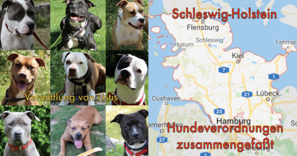 Schleswig-Holstein:   Hundeverordnungen für gefährliche Hunde Listenhundeverordnung